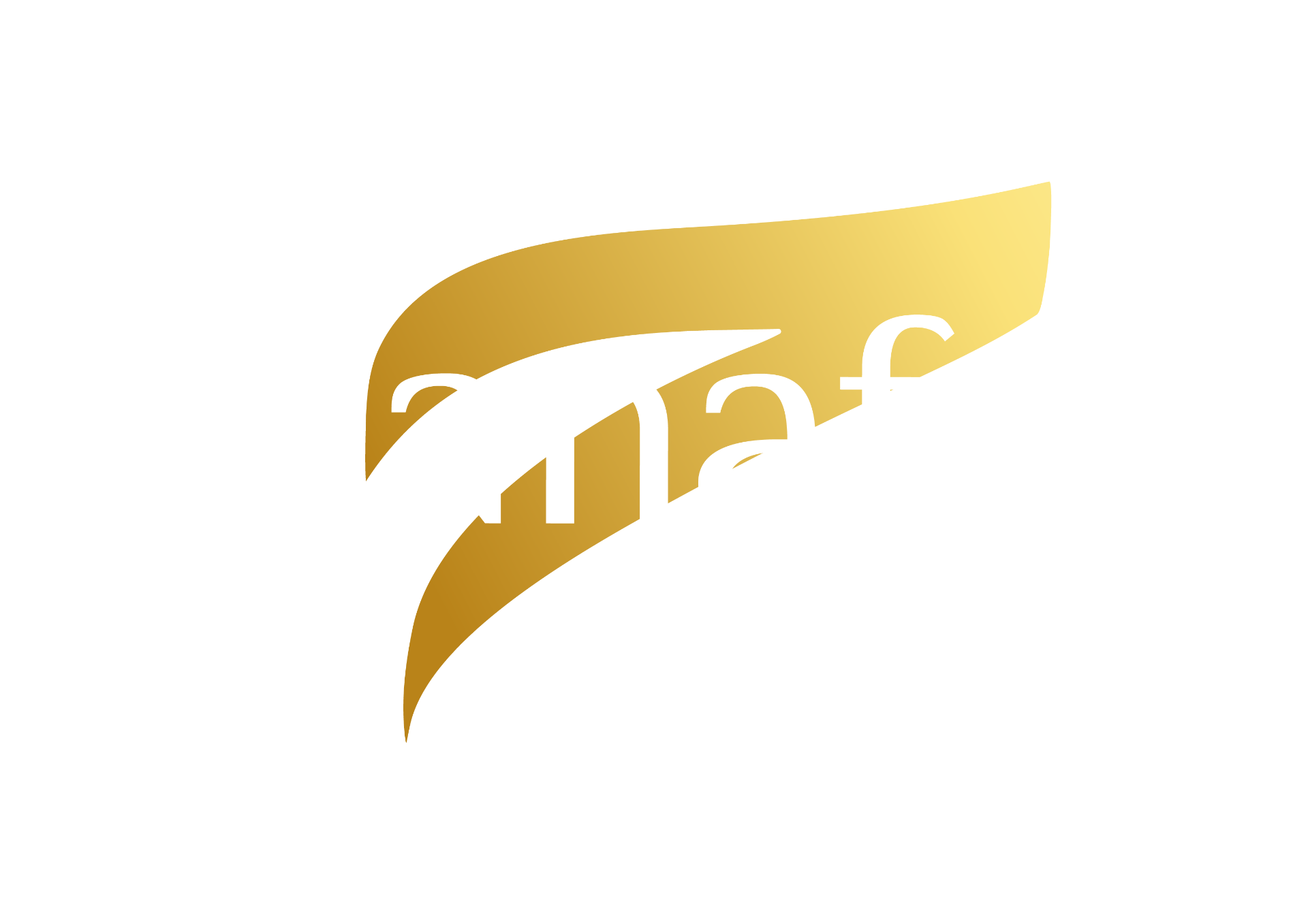 Hanafy